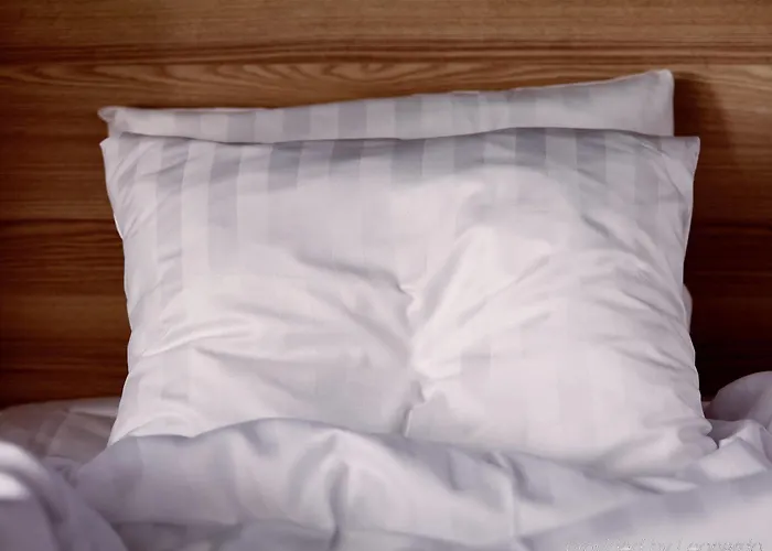 Scandic Hotel Silkeborg